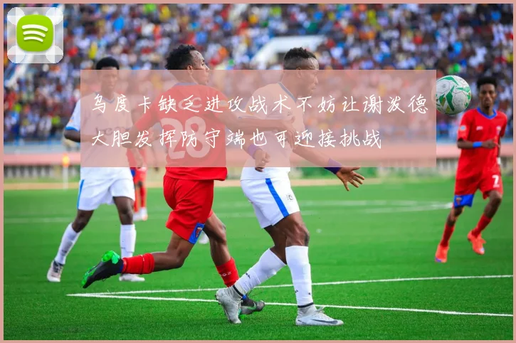 乌度卡缺乏进攻战术不妨让谢泼德大胆发挥防守端也可迎接挑战